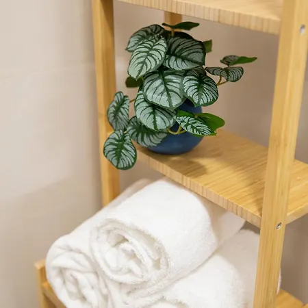 Green Rooms 게스트하우스